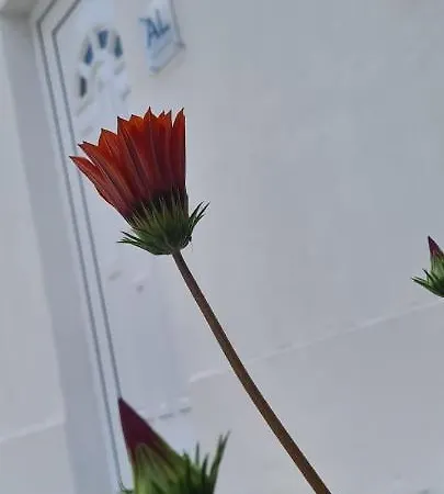 Caldas Relax & Leisure Holiday home