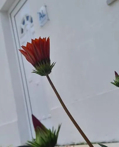 Caldas Relax & Leisure 別荘